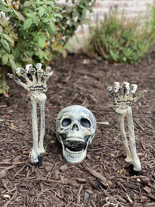 50f0b827-5a1c-4165-b305-da29756b6fab